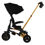 Велосипед трехколесный Qplay S700-17 RIDER SL Black (Rub/Gold)