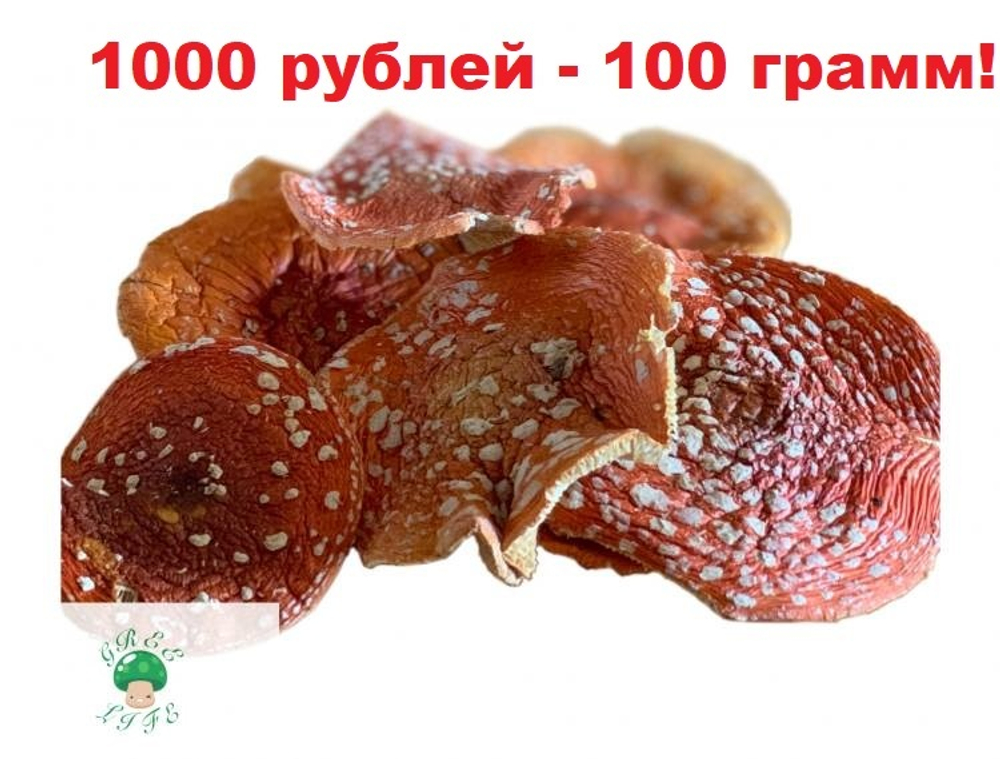 МУХОМОР КРАСНЫЙ СУШЕНЫЙ (ПОРОШОК) 100 ГР