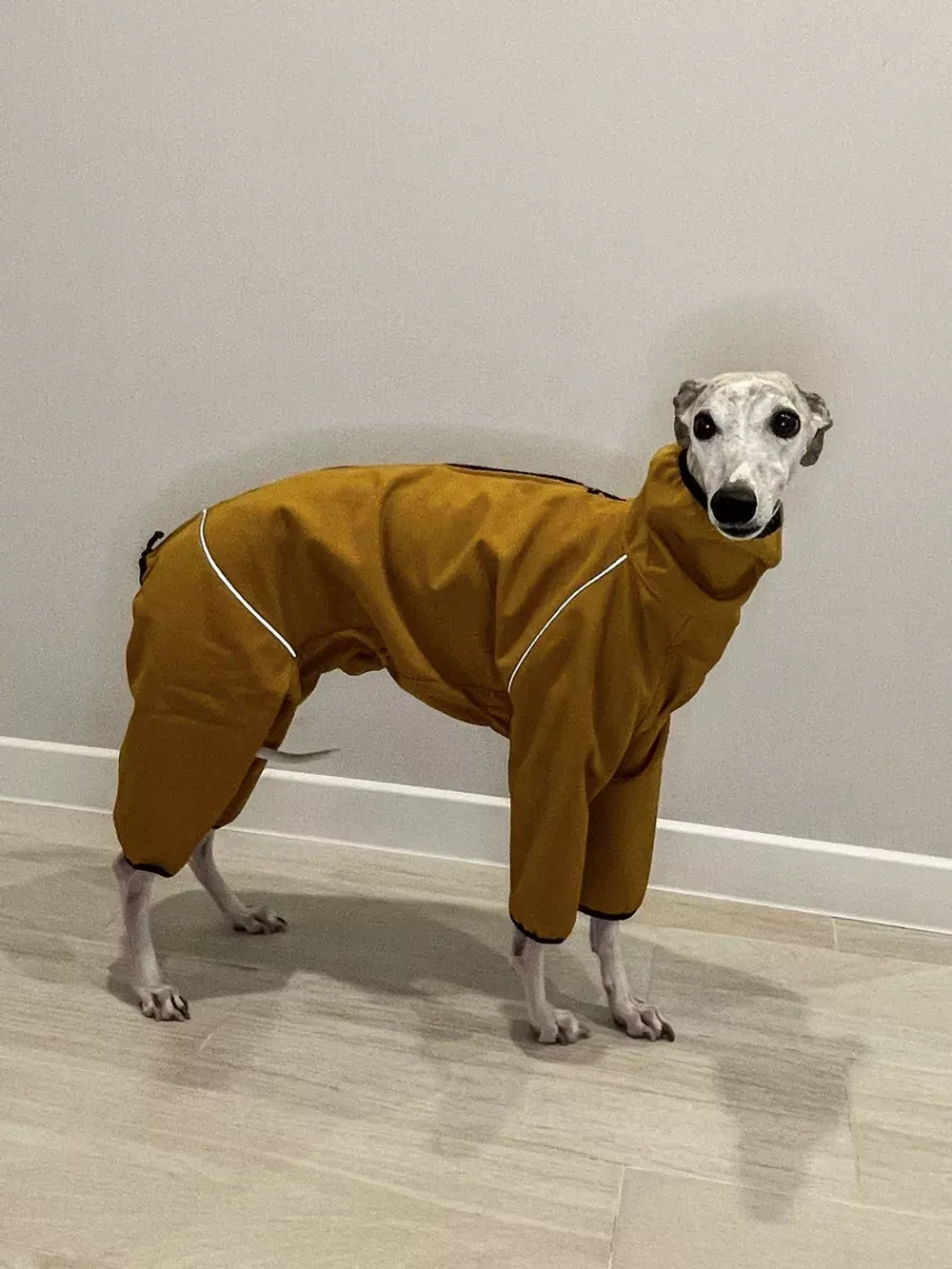 Комбинезон для собак одежда для Уиппета