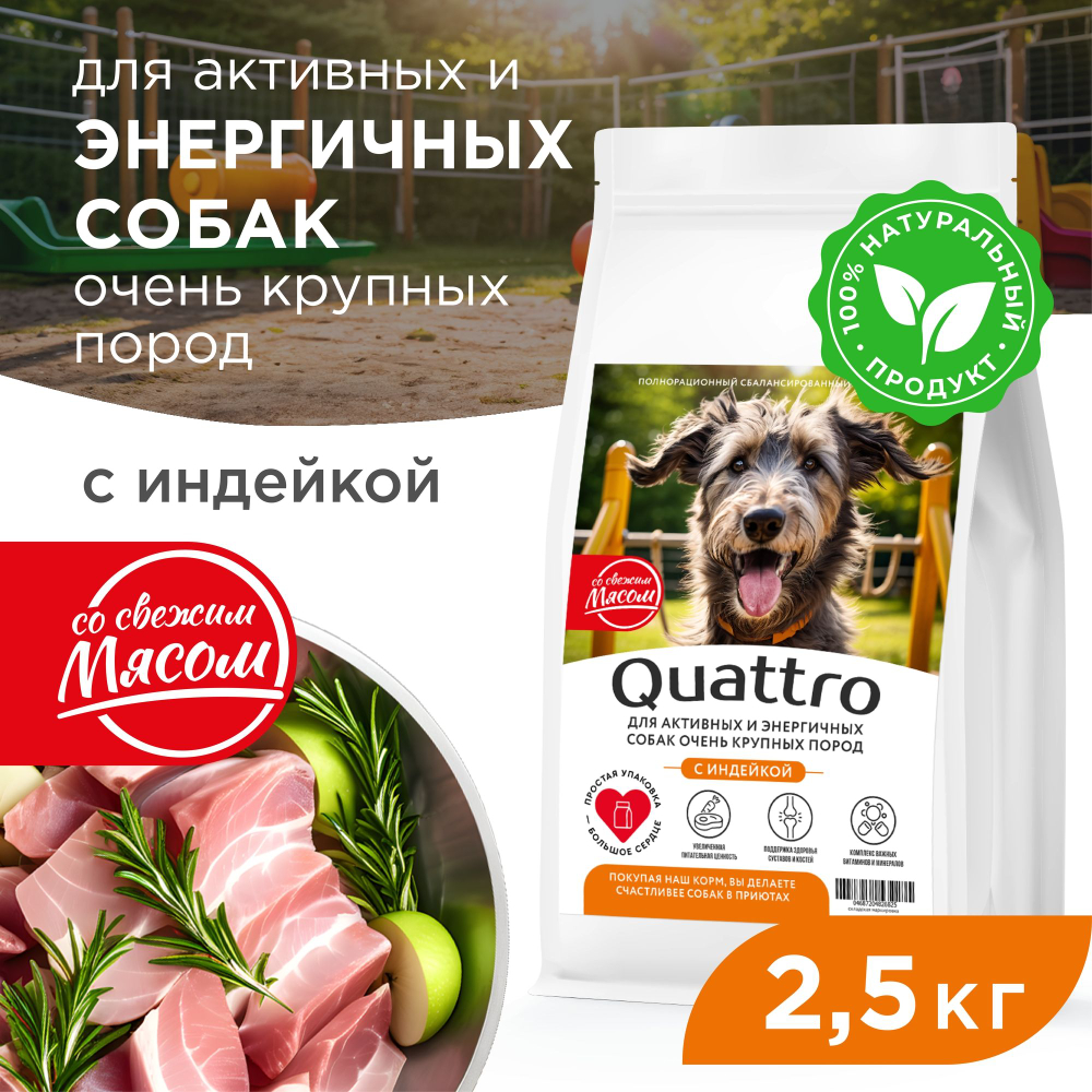 Корм сухой для взрослых собак очень крупных пород, премиум полнорационный комплекс, для активных и энергичных собак, с индейкой, 2,5 кг, QUATTRO