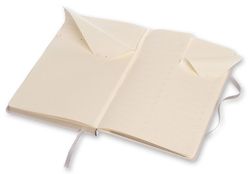 Блокнот Moleskine Professional Large (PROPFNTB3HG24)