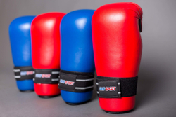 Перчатки ITF, GTF защитные ProfSport