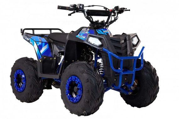 Квадроцикл WELS Thunder EVO M детский