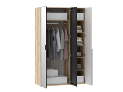 Шкафы Арден 200.4 зеркало-200.2-полки Дуб Делано / Сантьяго софт