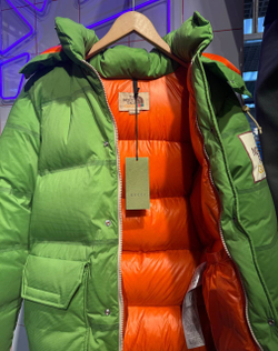 Пуховик The North Face x Gucci