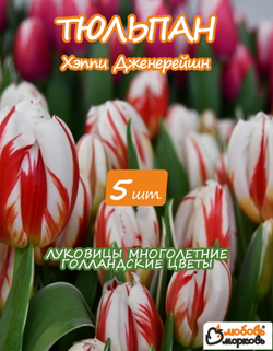 Тюльпан Луковица цветов, Хэппи Дженерейшн, 5 шт