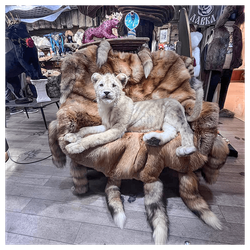 Реплика «Львенок»