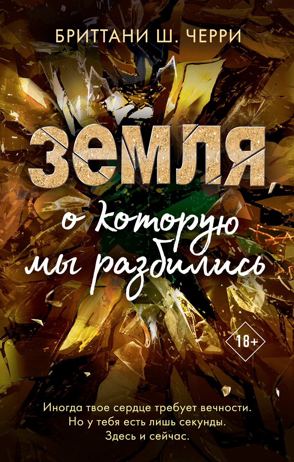 Земля, о которую мы разбились (#3)