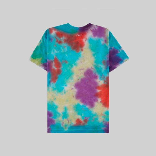 Футболка мужская Obey Fruits & Mushrooms артикул:163132677 - купить в магазине Дайс