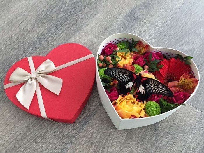 Цветы и бабочка в коробке  #28564