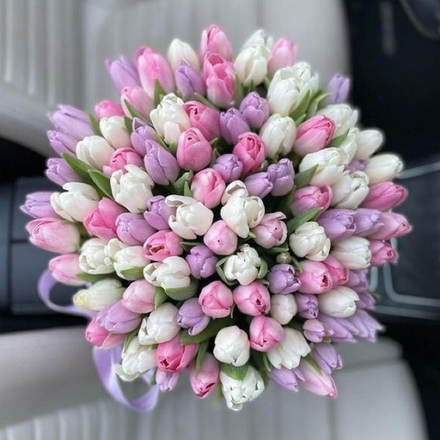 101 тюльпан в нежной гамме от Флора Маркет