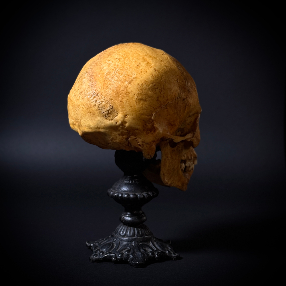 Статуэтка «Череп человека»