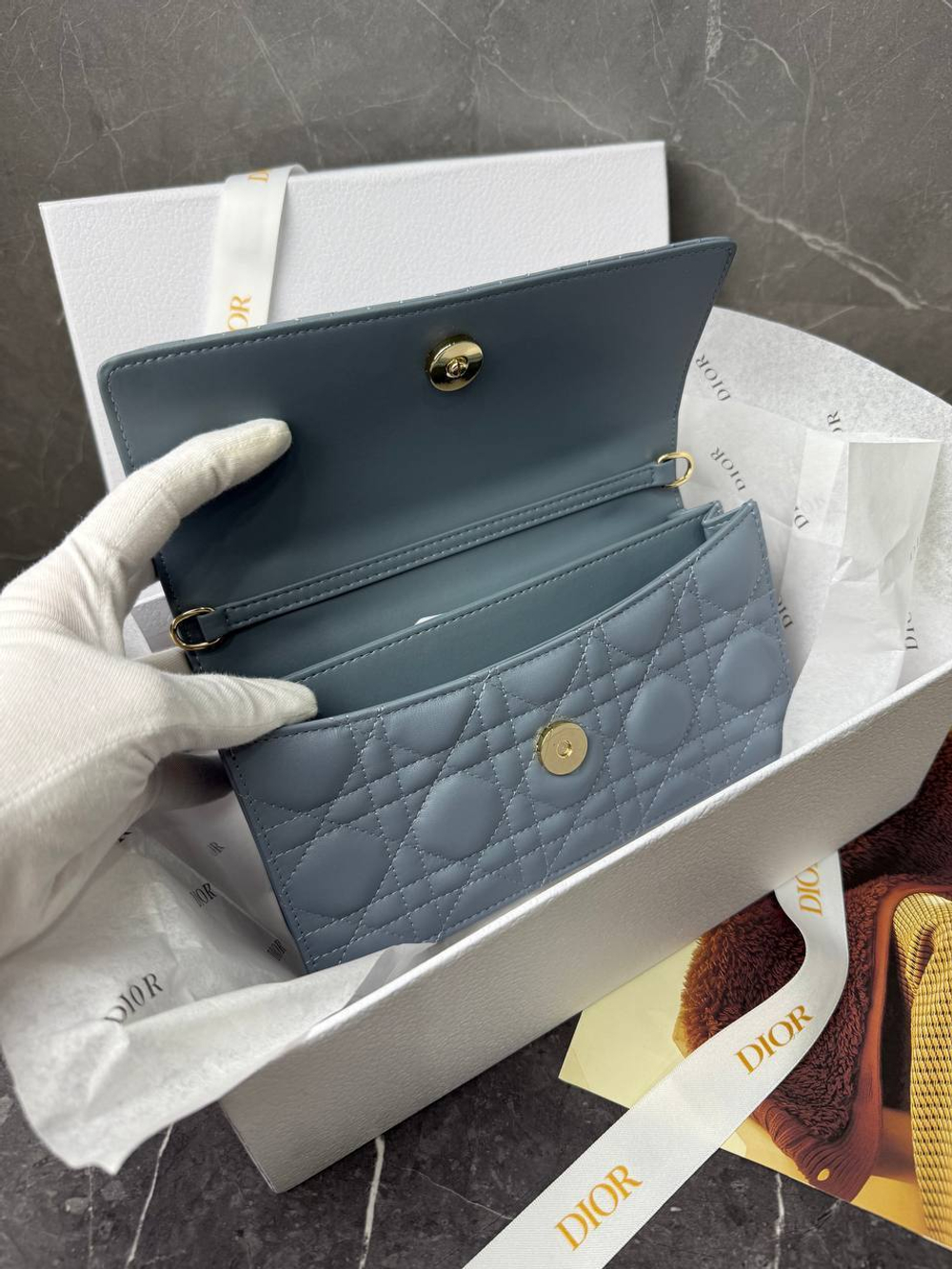 Сумка Christian Dior