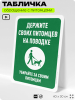 Табличка "Держите своих питомцев на поводке" на дверь и забор, для двора, дома, подъезда, 40х30 см, Silver Plane x Айдентика Технолоджи