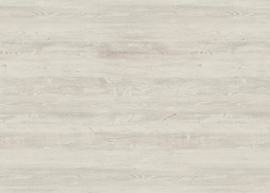 H 1401 ST22 СОСНА КАСЦИНА