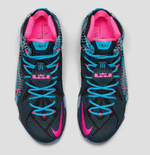 Заказать Nike LeBron 12 23 Chromosomes