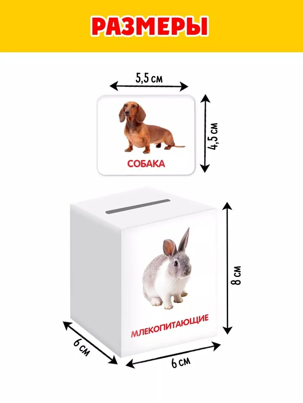 Сортер-копилка «Животные» по методике Г. Домана