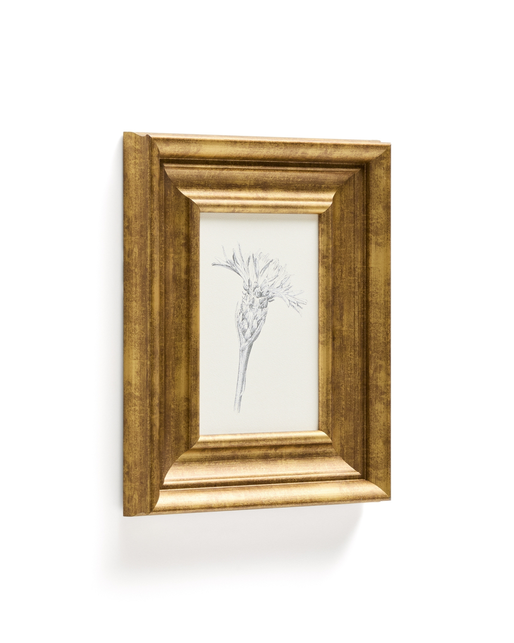 Картина Yalira с ботанической иллюстрацией 32,8 x 70 см