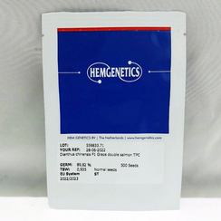 Гвоздика китайская МАХРОВАЯ GRACE SALMON