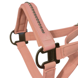 Недоуздок TGW riding