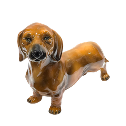 Boxer Такса красно-коричневая