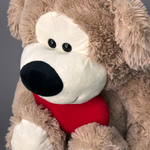 Мишка с сердцем