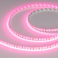 Светодиодная лента RT-A120-8mm 24V Pink (9.6 W/m, IP20, 2835, 5m) (Arlight, -) 043380