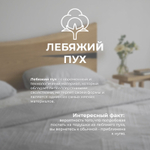 Подушка Лебяжий пух 50х70 см с чехлом из хлопка Люкс