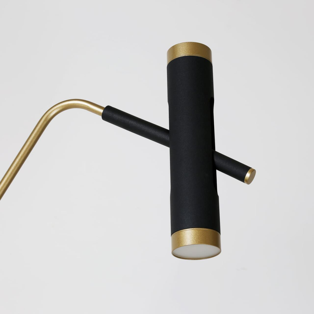 Торшер светодиодный Favourite Duplex 2324-2F