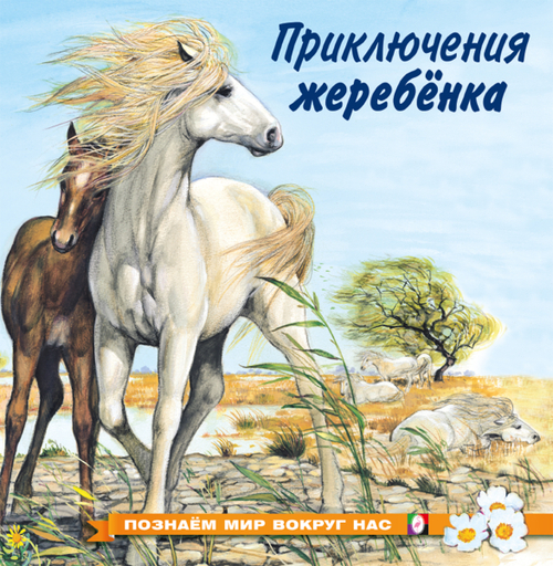 ПМВН. Приключения жеребенка, изд.: Фламинго, авт.: Гурина И.В., серия.: Серия "Познаем мир вокруг нас"   Формат: 21х21 см; 16 цв. стр. + обл.