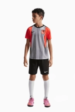 Футболка Nike Chelsea FC 25/26 Academy Pro Junior - серый