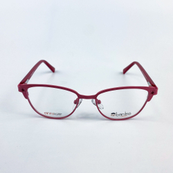 baniss BRJ 2135 02 оправа