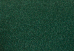 Искусственная кожа Domus (Домус) green