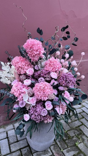 Roses