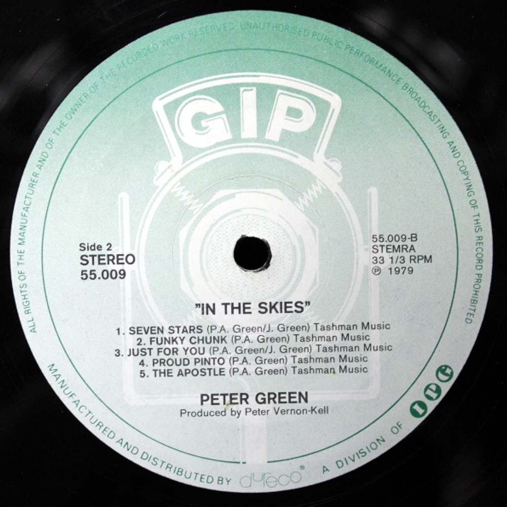Peter Green / In The Skies (LP)