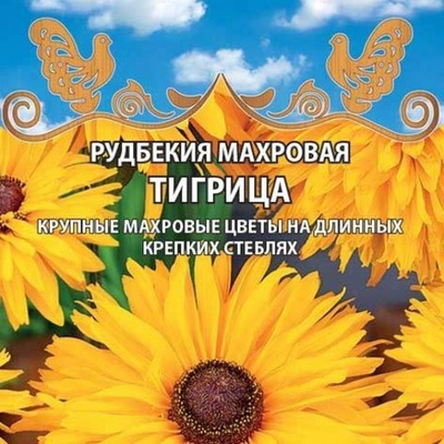 Рудбекия махровая Тигрица