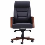 Кресло HAWASAN (ХАВАСАН) "Overlord EX-770", мультиблок, дерево, натуральная кожа, черное, 532934