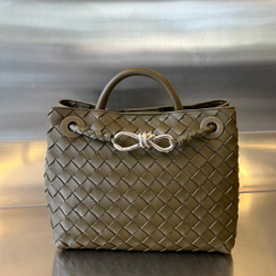 Bottega Veneta Small Andiamo 25 cm