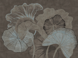 Коллекция SUMMERTIME