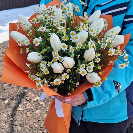 Букет из белых тюльпанов с ромашкой
