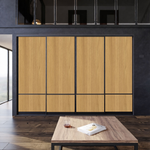 Дверь-купе ARISTO С, ЛДСП EGGER, профиль черный матовый 3