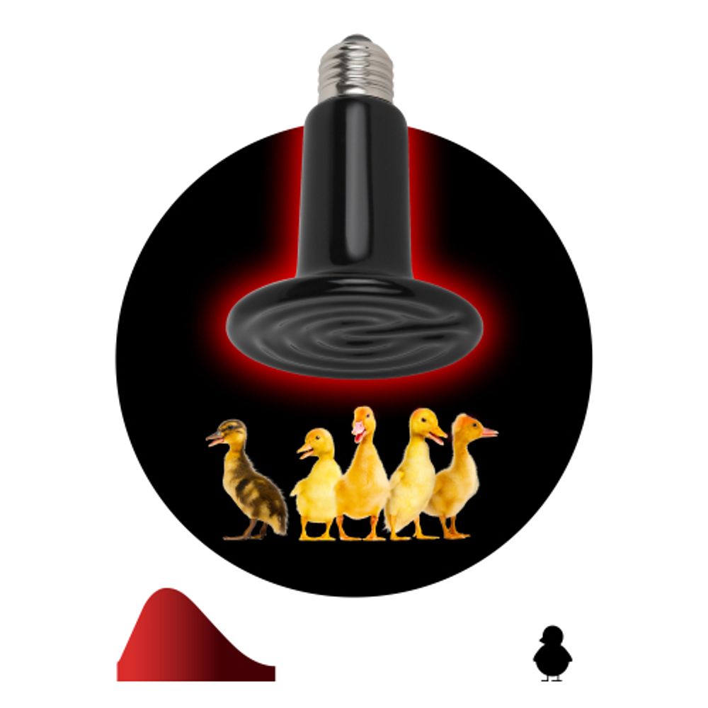 Инфракрасная лампа ЭРА CeramiHeat FITO-200W-НQ керамическая для брудера, рептилий 200 Вт Е27 | Инфракрасные лампы