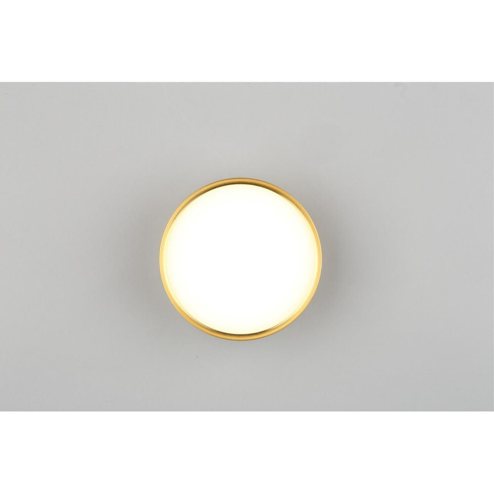 Накладной светодиодный светильник Omnilux Abano OML-103329-12