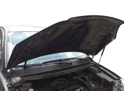 Упор (амортизатор) капота для Ford Focus 2 (2005-2008) Autoinnovation.03-02/2