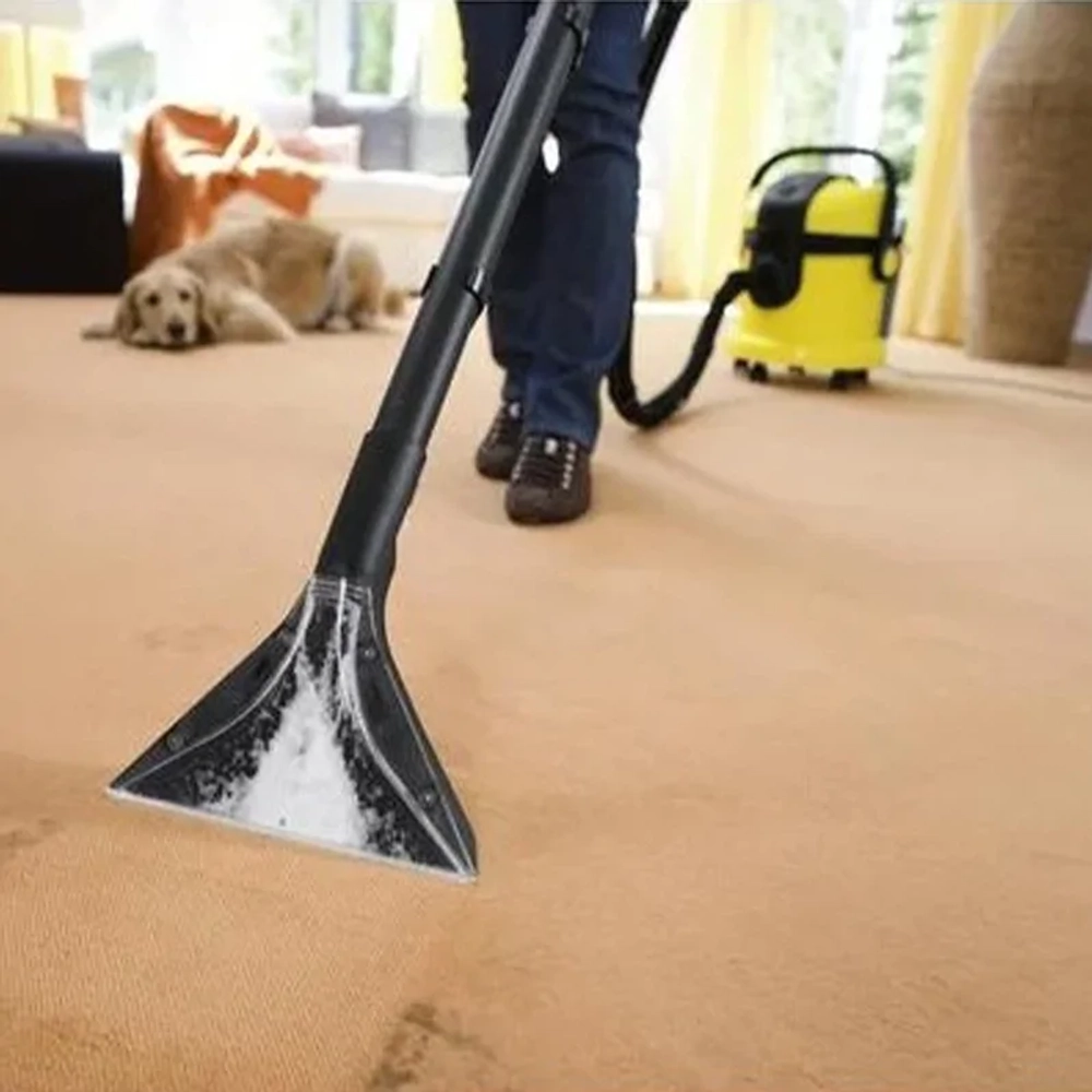 Моющий пылесос Karcher SE 4002