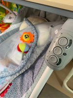 PITUSO Электрокачели Malaga Жирафик Grey серый (адаптер, пульт) 77*60*62см