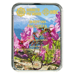 КФС «ЭНЕРГИИ РАСЦВЕТА» КФС Кольцова