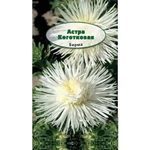 Семена Астра Коготковая Бирма Кремово-белая 75 см 0,3 гр 238820