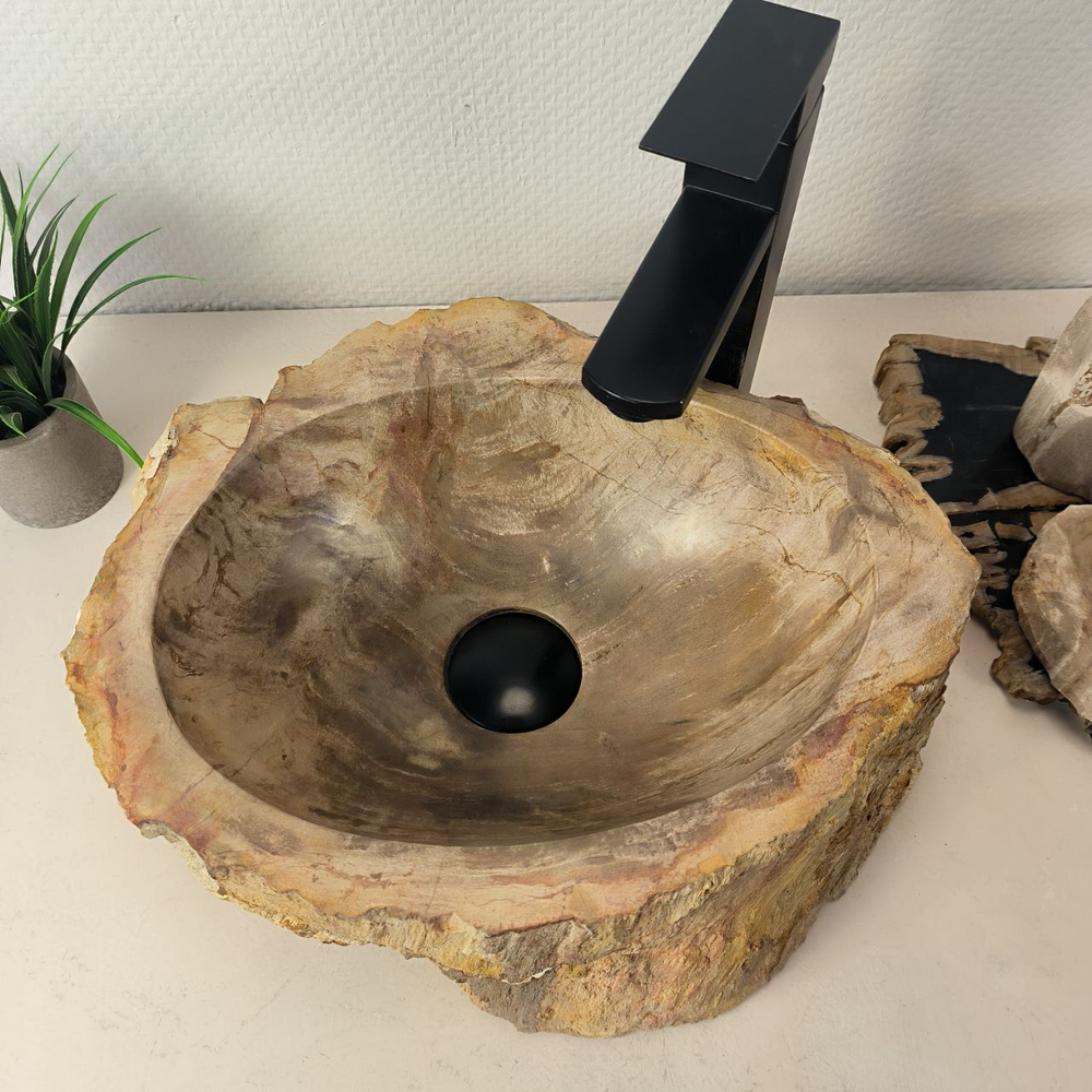 Раковина из окаменелого дерева OD-66049 40х31х15 из натурального камня