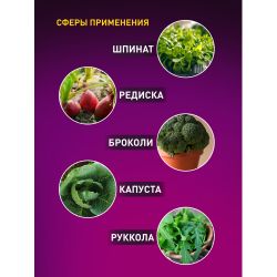 Фитолампа для растений светодиодная ЭРА FITO-18W-RB-E27 красно-синего спектра 18 ВТ Е27